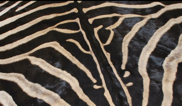 Genuine Zebra Hide Rug